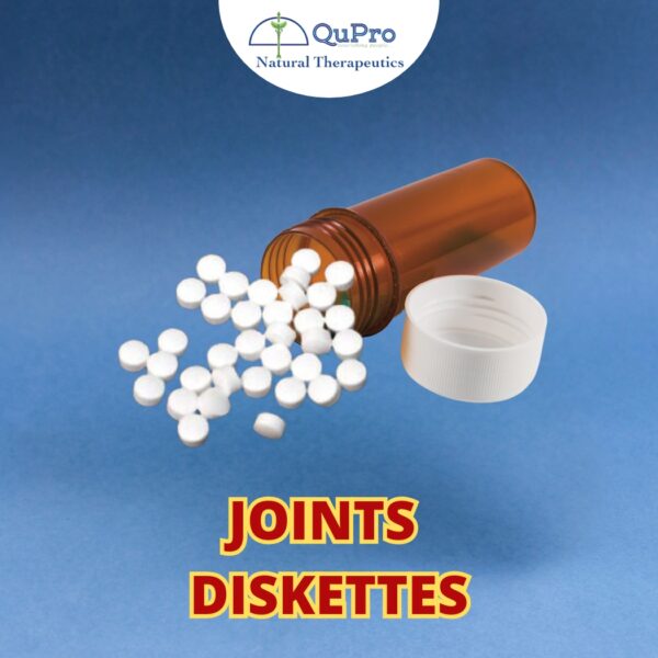 JOINTS DISKETTES