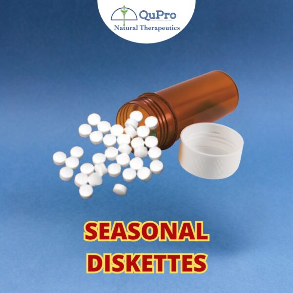 SEASONAL DISKETTES