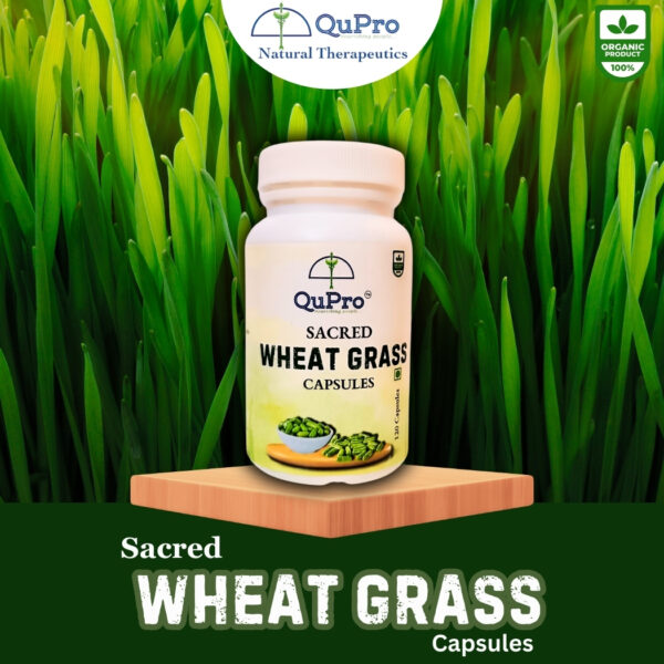 SACRED WHEAT GRASS CAPSULES