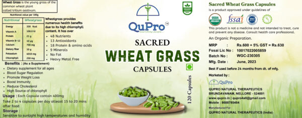 SACRED WHEAT GRASS CAPSULES - Image 2