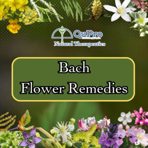 Bach Flower Remedies